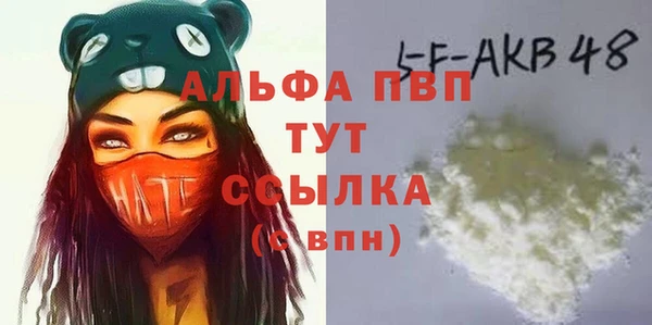 стаф Майский