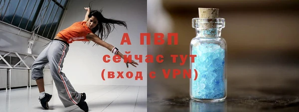 стаф Майский