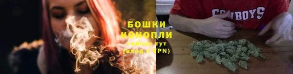 стаф Майский