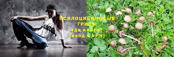 гашик Магадан
