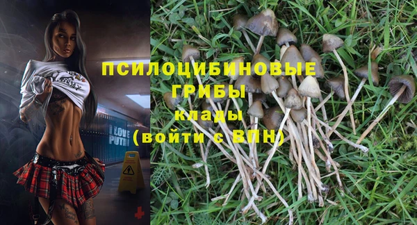 ALPHA-PVP Магас