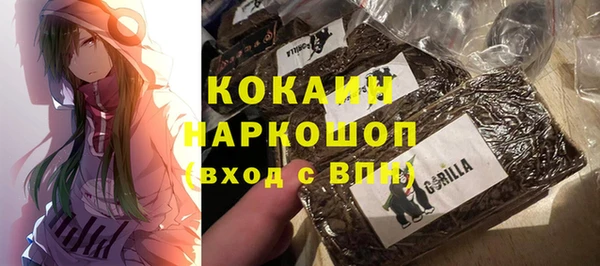 гашик Магадан