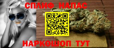 ешки Бийск