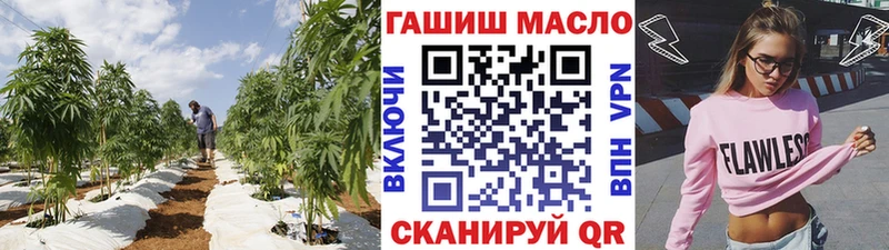 Дистиллят ТГК концентрат  цены   МЕГА онион  Москва 