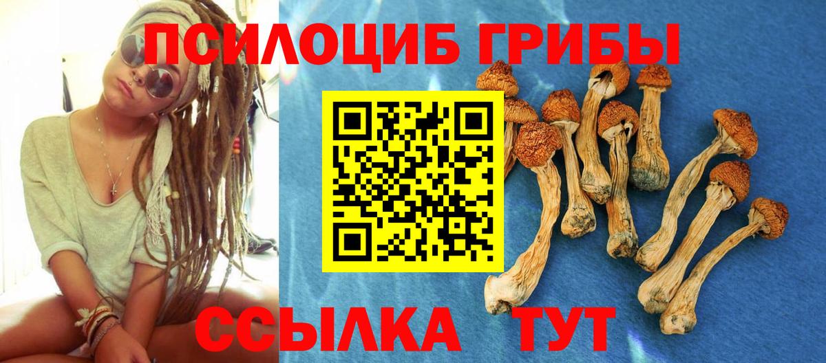 Псилоцибиновые грибы GOLDEN TEACHER  Вход с VPN  Москва  Псилоцибиновые грибы Magic Shrooms 