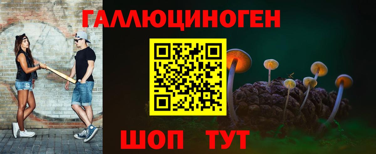 Галлюциногенные грибы мухоморы Москва